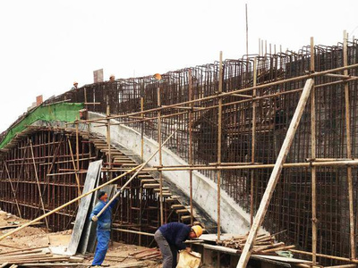 東湖綠道二期湖澤道五橋主體落成，再添城市生態(tài)新廊道